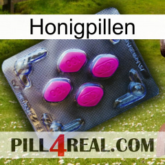Honeygizer Pills 02